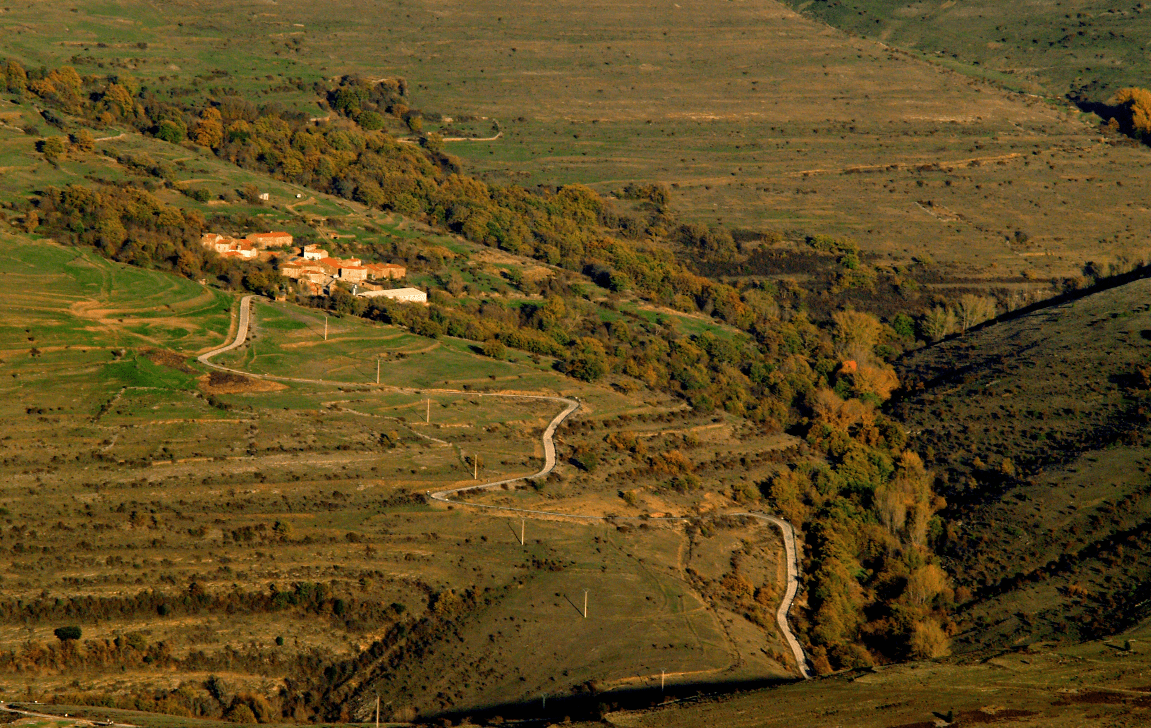 Vista de los acebales de Oncala