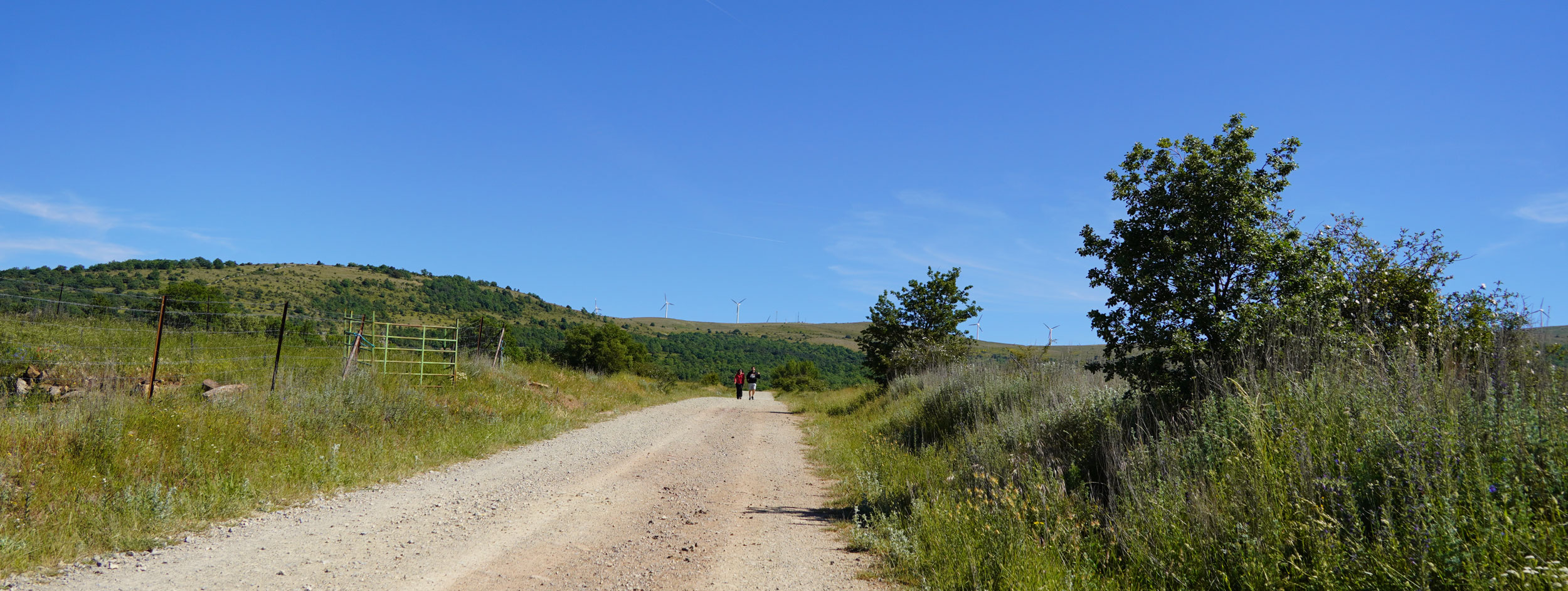 Camino en tierras altas